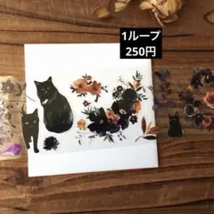 WT Pre-cut Mysty Meow PET 250円