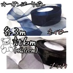合計6m❣️ ブラック♥ネイビー《各3m》 オーガンジーリボン切り売り