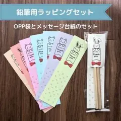 鉛筆ラッピング(大)動物30セット