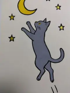 猫の挑戦 / The Cat’s Challenge