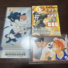 ハイキュー！！　ステータスカードコレクション&クリアチケット　日向・影山
