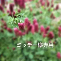 【ミッチー様専用】ブックカバー　３点　文庫本サイズ