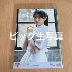 イコラブ 野口衣織 ビッグ生写真 劇薬中毒 MV研究所衣装 チュウ - メルカリ