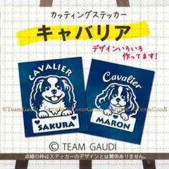 キャバリア 名前入 カッティング　ステッカー シール ドッグインカーのサムネイル