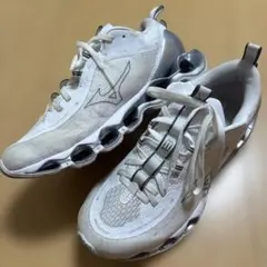 ウェーブプロフェシー