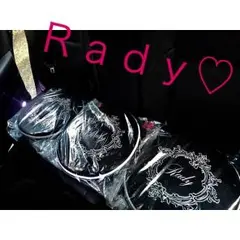 rady ノベルティ ホテルシリーズ カー用品 チェアパッド 座布団 4点セット