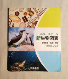 ニューステージ 新生物図表 生物基礎 + 生物 対応