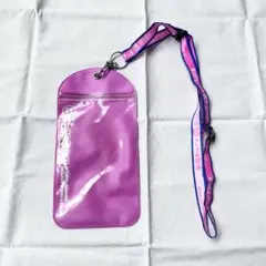 【匿名配送】水曜どうでしょう　チケットホルダー