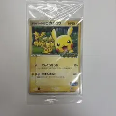 2025年最新】ポケパークのピカチュウの人気アイテム - メルカリ