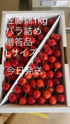 佐藤錦 2Lサイズ 1kg 手並べ ◎本日おすすめ品 限定1箱 - メルカリ
