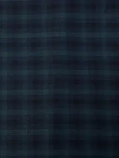 ブラックオッチチェック柄生地 Wガーゼ145✖️100