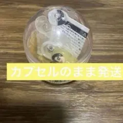 長尾謙杜　なにわ男子のめじるしチャーム　2026 VoyAGE 1stDOME