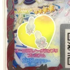 オーロラスノーグランプリプレミアム、シューズ⭐︎4【同梱130円】