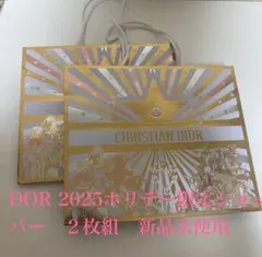【新品未使用】ディオール 2025 ショッパー 2枚 ホリデー DIOR
