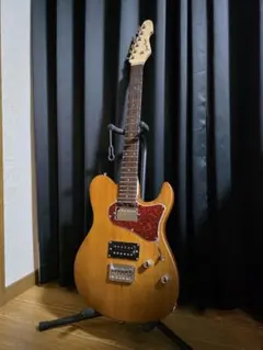 2025年最新】esp テレキャスの人気アイテム - メルカリ