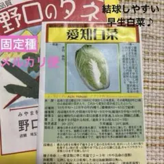 たんぽぽ様 リクエスト 3点 まとめ商品