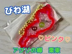 全日本プロレス ハローキティ 覆面 根付け ストラップ 2009年 - メルカリ