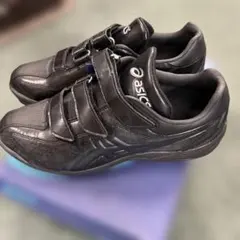 Item thumbnail for item 7f92caa1-2340-4214-9fe5-54df66d5cade