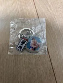 大相撲 藤ノ川　ダブルチャームメタルキーホルダー