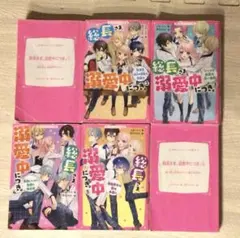 総長様溺愛中につき。①〜⑥ 野いちごジュニア文庫　小学校高学年中学女子向け