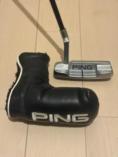 てくこさん専用】【美品】US限定 PING スタンドキャディバッグのみ