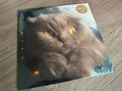 2025年最新】猫戦 レコードの人気アイテム - メルカリ