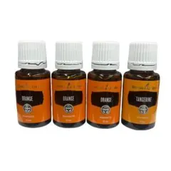 2026年最新】ヤングリヴィングの人気アイテム - メルカリ