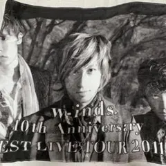 w-inds. グッズ キューブパズル タオル - メルカリ