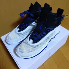 Nike Air Jordan XXXVI PF ホワイト/ブルー/ブラック