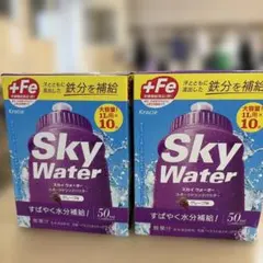 Kracie Sky Water グレープ味 1L用×10袋入 2箱セットのサムネイル