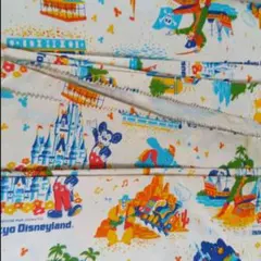 ☆レア　【昭和】東京ディズニーランド 紙袋18枚　初期1980-90年代