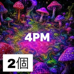 4PM サイケデリック マッシュルーム グラフィック アートペレット　2個セット 4PM サイケデリック マッシュルーム グラフィック アート 3セット