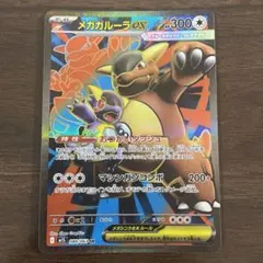 なかむら様 リクエスト 2点 まとめ商品