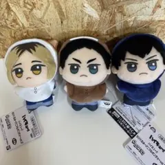 ❤*♡様 ハイキュー!! ちびぐるみ アニマルポンチョ vol.2 3種