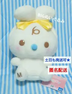 みるく　みみむすびBIGぬいぐるみ　サンリオキャラクターズ