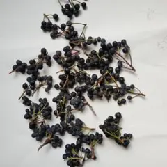 Item thumbnail for item 704d7d14-7b9c-4ed4-8c2e-45ff49f33064