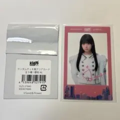 松本和子