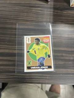 Panini FIFA World Cup 2026 ヴォジーニャ - メルカリ
