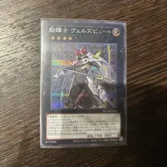 励輝士 ヴェルズビュート　シク　シークレット　QCDB