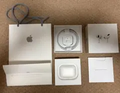 サ*ム様 Apple AirPods Pro （第1世代）本体 充電ケース付き