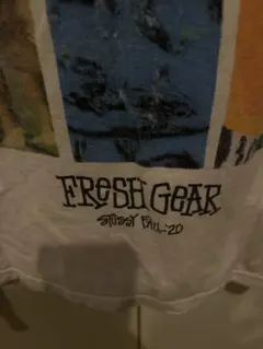 stussy ステューシー　Tシャツ Fall 20 Campaign 限定