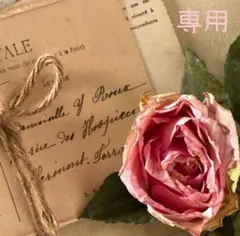 もも✩様専用ページです☆彡