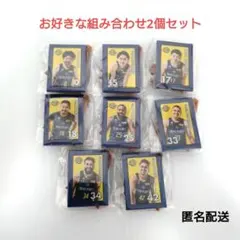 宇都宮ブレックス　2025-26選手ミニチュアアー お好きな組み合わせ2個セット