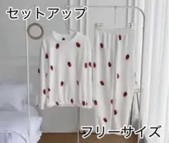 950.【残り4点】ルームウェアパジャマ部屋着 セットアップ 上下セットもこもこ