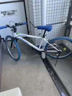 2025年最新】graphis 自転車の人気アイテム - メルカリ