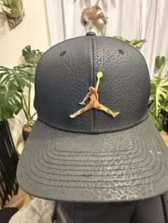 NIKE JORDAN メタルインゴットキャップ