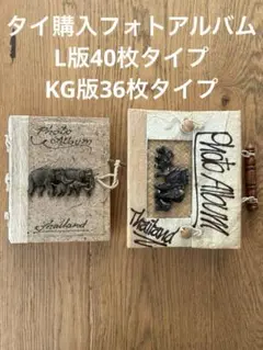 Item thumbnail for item ab85554d-a2c8-40f9-871a-4fbd3ea3d989