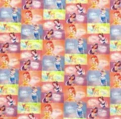 ディズニープリンセス生地