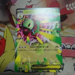 メガメガニウム ex