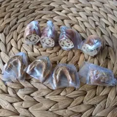 Item thumbnail for item c98749e4-c099-49df-a151-8f576ead3842